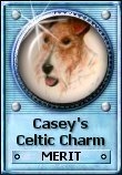 Casey's Celtic Charm Merit Award